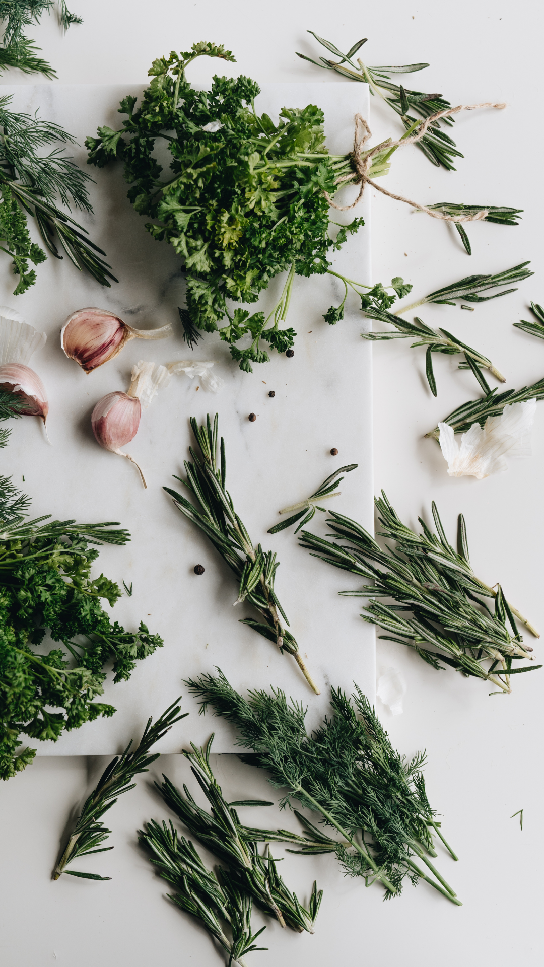 Herbes
